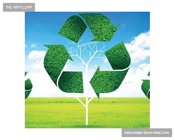 赛事碳排放挑战可持续目标 绿色科技成三国联合举办焦点